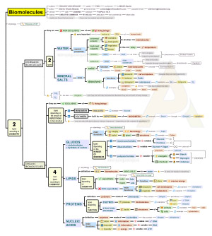 Biomolecules