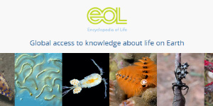 EOL: Encyclopedia Of Life