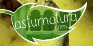 Asturnatura