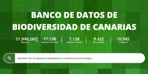 Biodiversidad de Canarias
