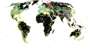The Paleobiology Database