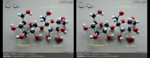 Sacarosa