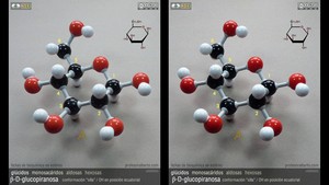 beta-D-glucopiranosa (ecuatorial)