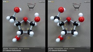 beta-D-desoxirribofuranosa