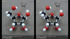 beta-D-ribofuranosa