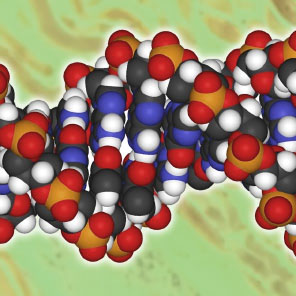 Biomoléculas