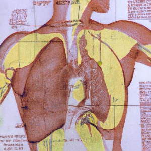 Cuerpo Humano